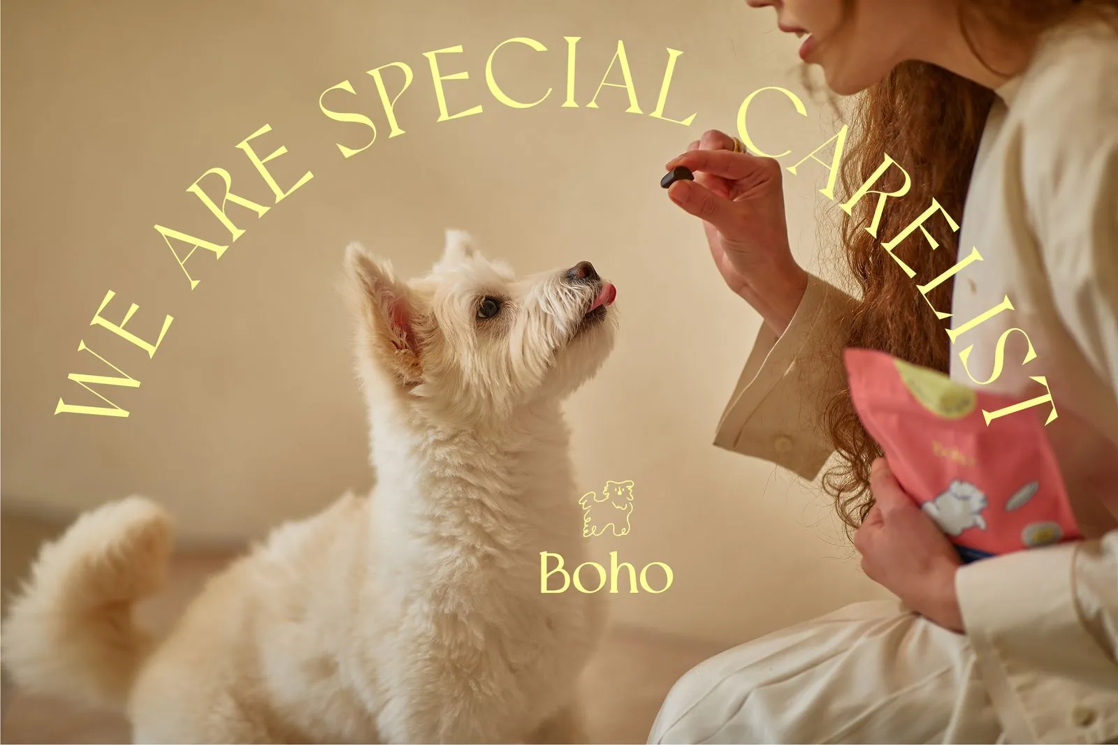 보호(Boho) BI · Package 디자인 작업 이미지 2