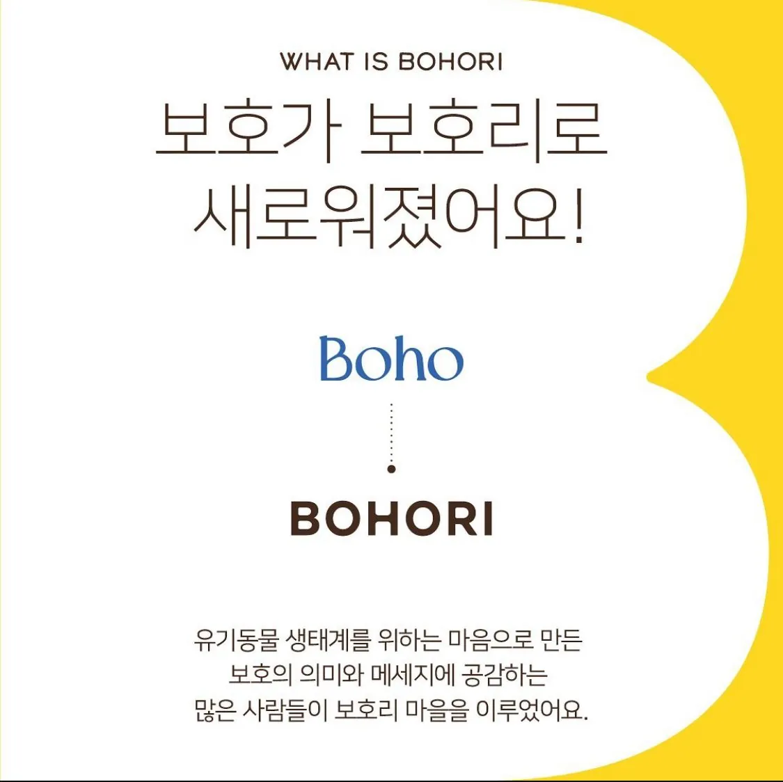 보호리(Bohori) BI · Package 디자인 작업 이미지 2