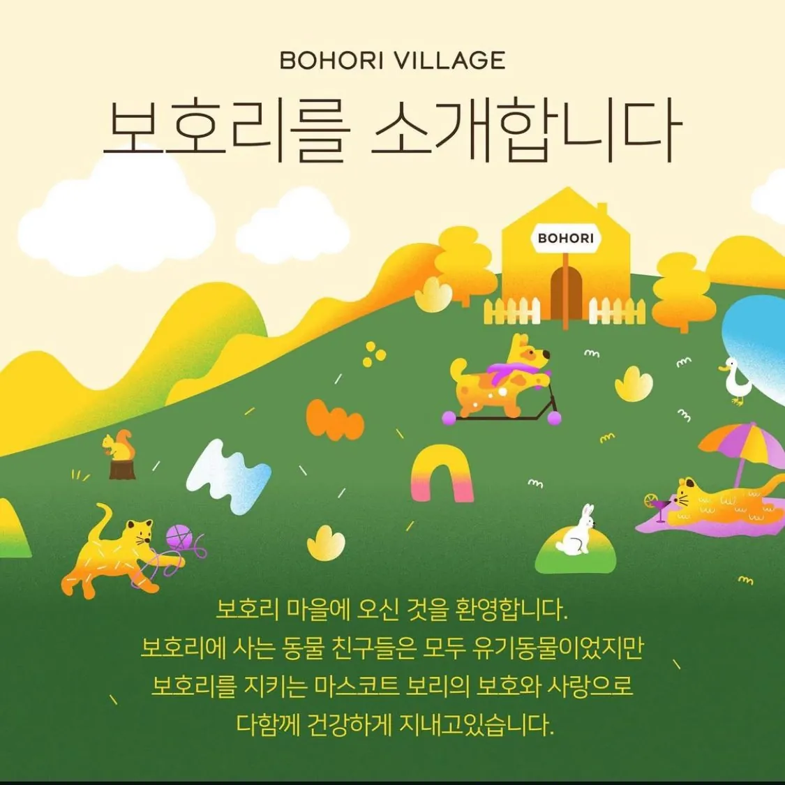 보호리(Bohori) BI · Package 디자인 작업 이미지 3