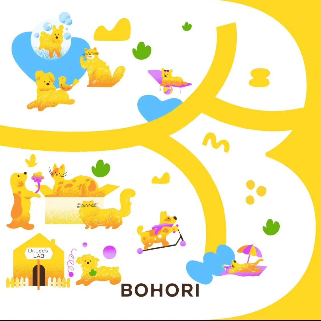 보호리(Bohori) BI · Package 디자인 작업 이미지 4