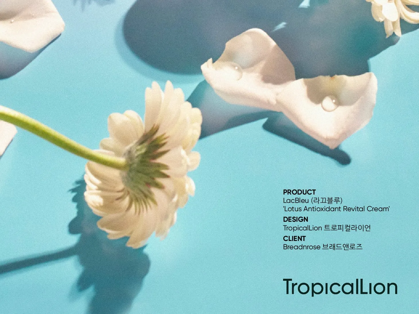 라끄블루(Lacbleu) BI · Package 디자인 작업 이미지 13