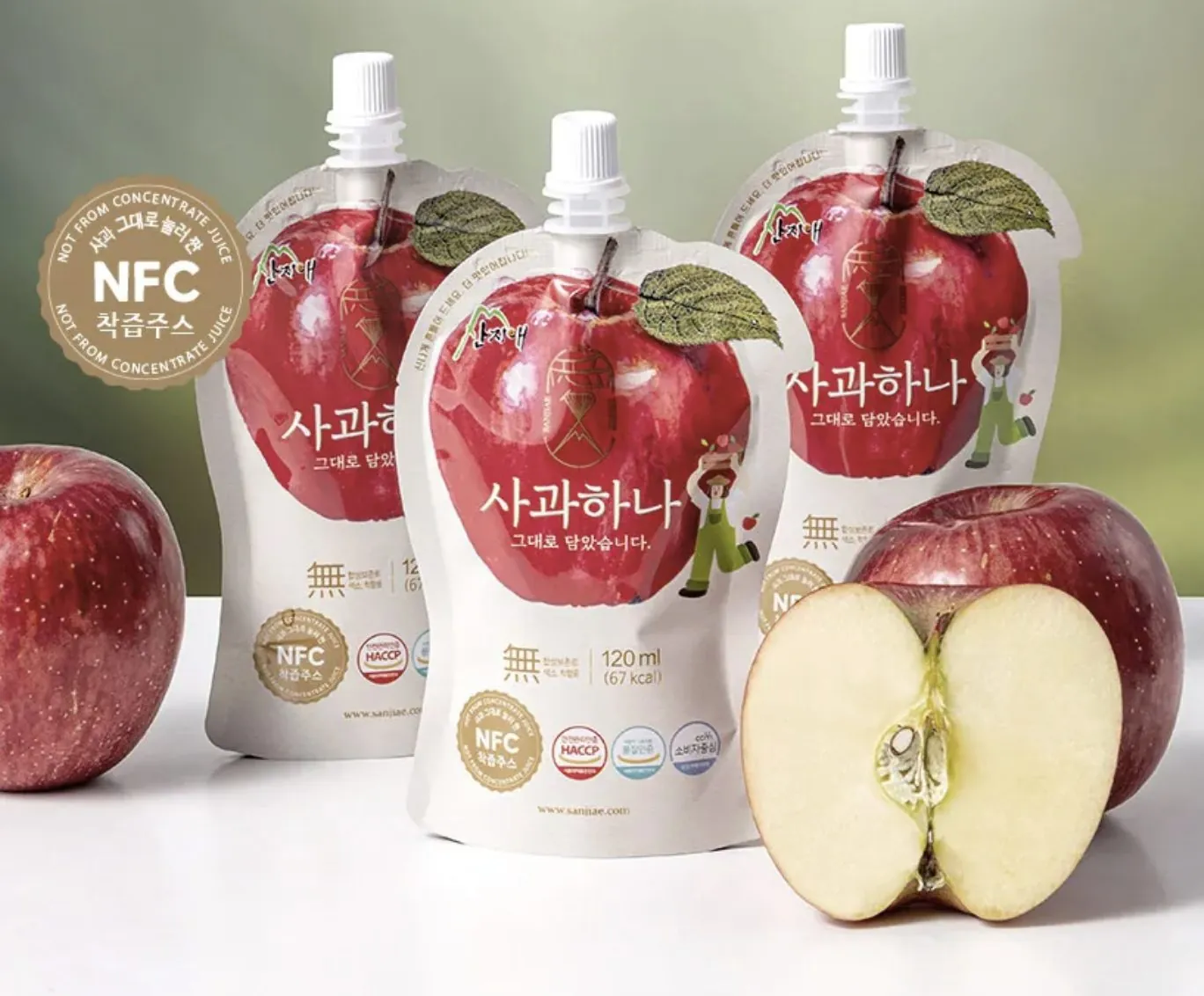산지애 패키지